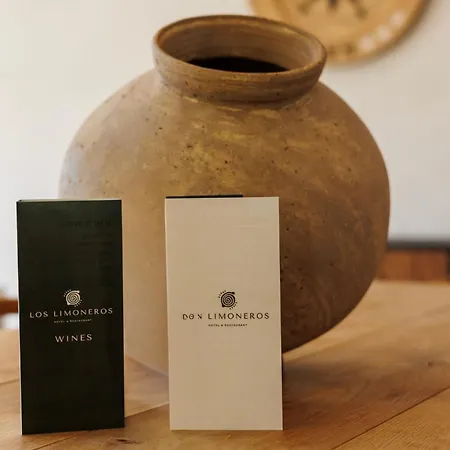 Boutique Limoneros Hotel