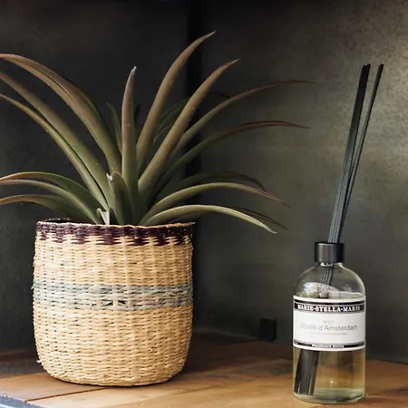 Boutique Limoneros Hotel 3*